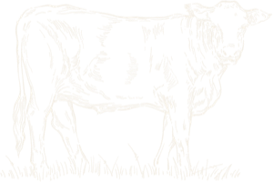 VanBeef